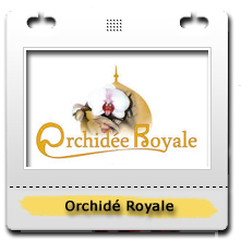 Orchidée Royale
Fine cuisine Thaïlandaise 
5410 Boulevard Guillaume-Couture, Lévis
T 418-835-9640