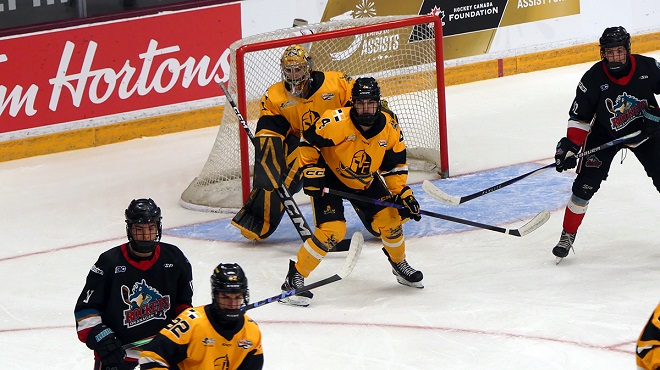 Chevaliers de Lévis